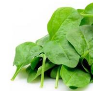 Шпинат: польза и вред для организма Салат шпинат полезные свойства